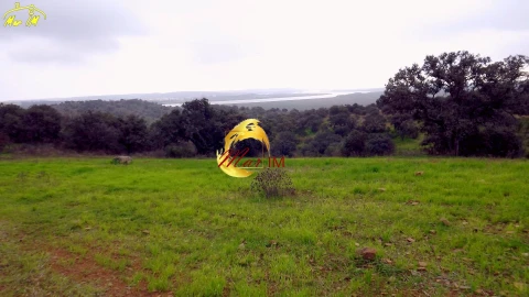 Terreno Agricola ou Rústico para Venda em Azinhal