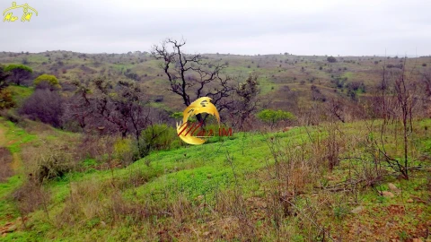 Terreno Agricola ou Rústico para Venda em Azinhal