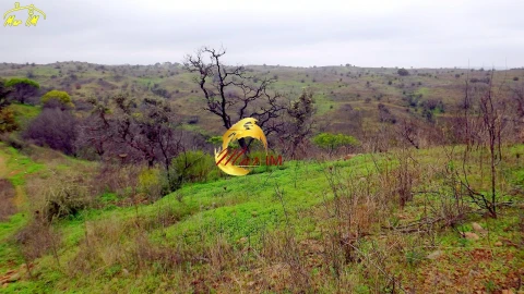 Terreno Agricola ou Rústico para Venda em Azinhal