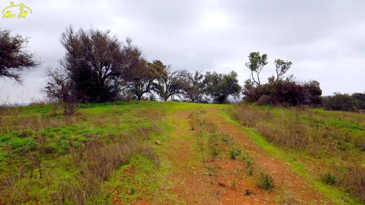 Terreno Agricola ou Rústico para Venda em Azinhal Foto 1