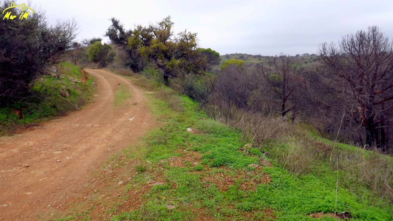 Terreno Agricola ou Rústico para Venda em Azinhal Foto 10