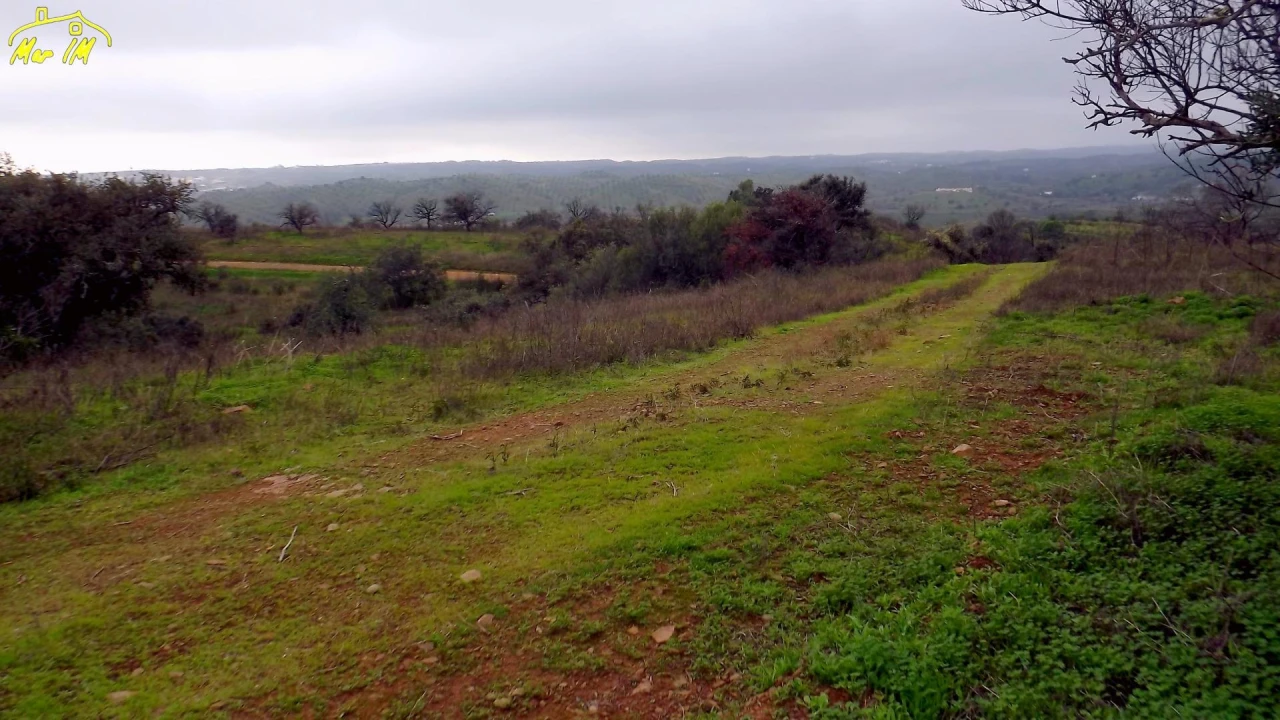 Terreno Agricola ou Rústico para Venda em Azinhal Foto 11