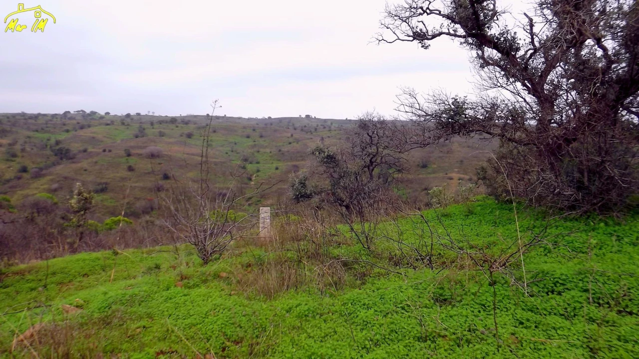 Terreno Agricola ou Rústico para Venda em Azinhal Foto 17