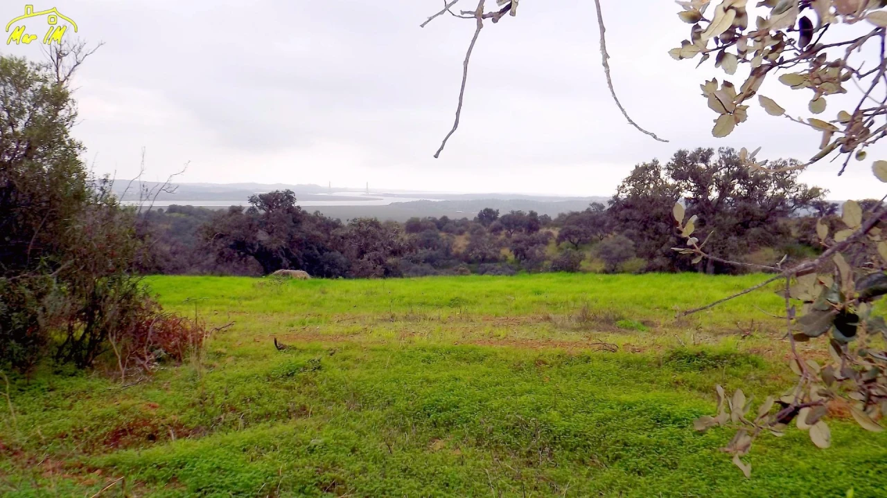 Terreno Agricola ou Rústico para Venda em Azinhal Foto 2