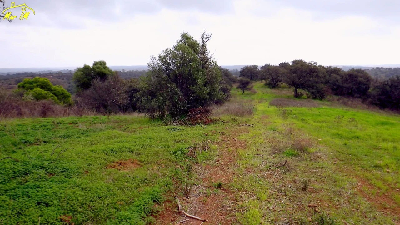 Terreno Agricola ou Rústico para Venda em Azinhal Foto 20
