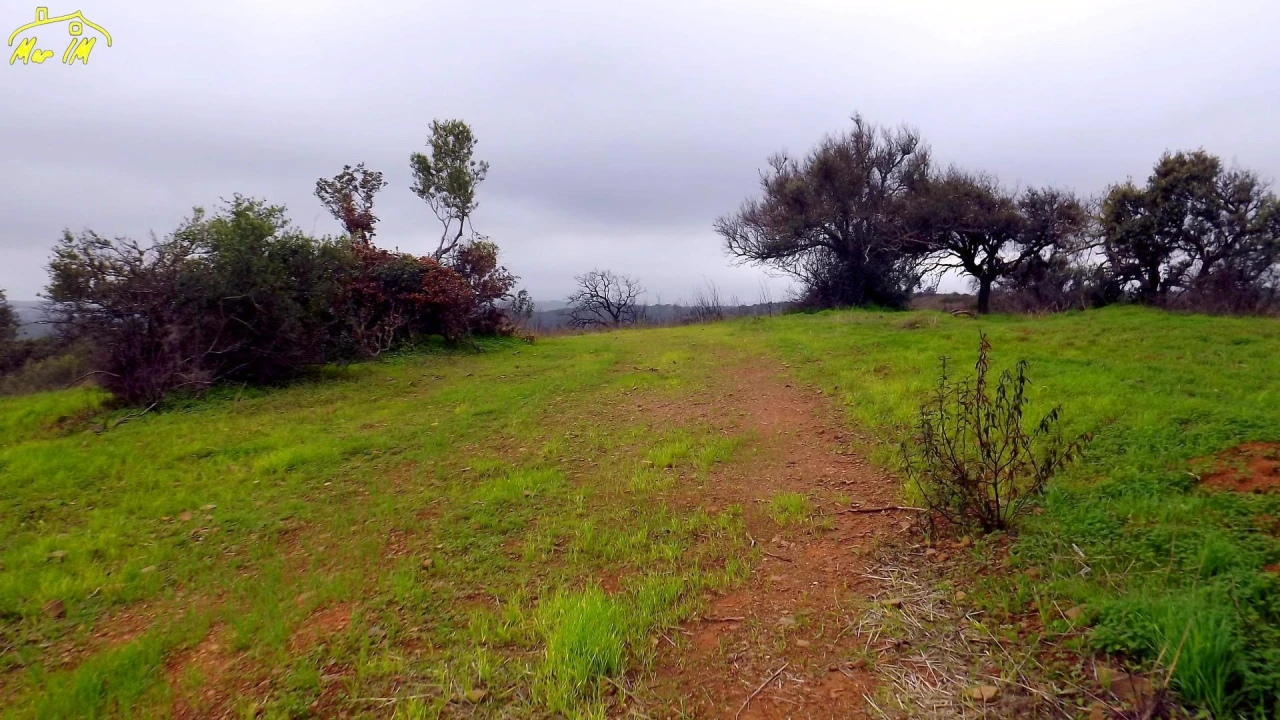 Terreno Agricola ou Rústico para Venda em Azinhal Foto 21
