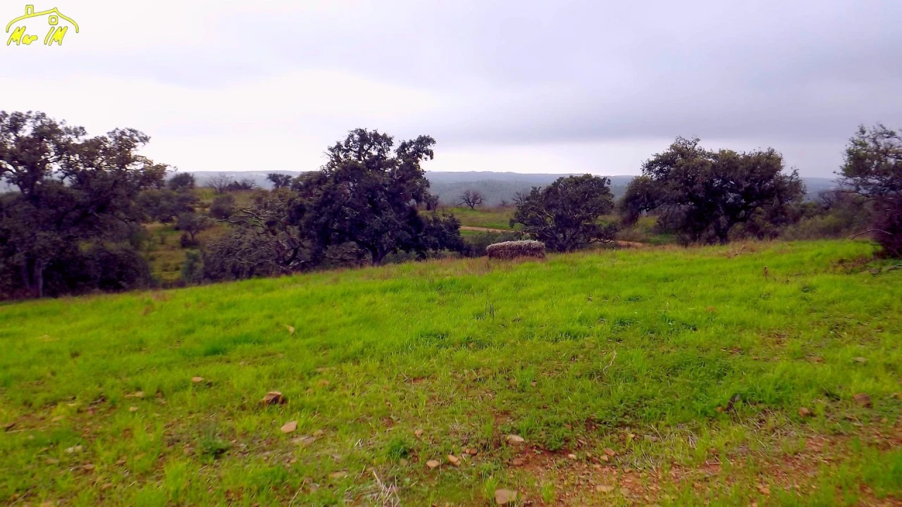 Terreno Agricola ou Rústico para Venda em Azinhal Foto 22