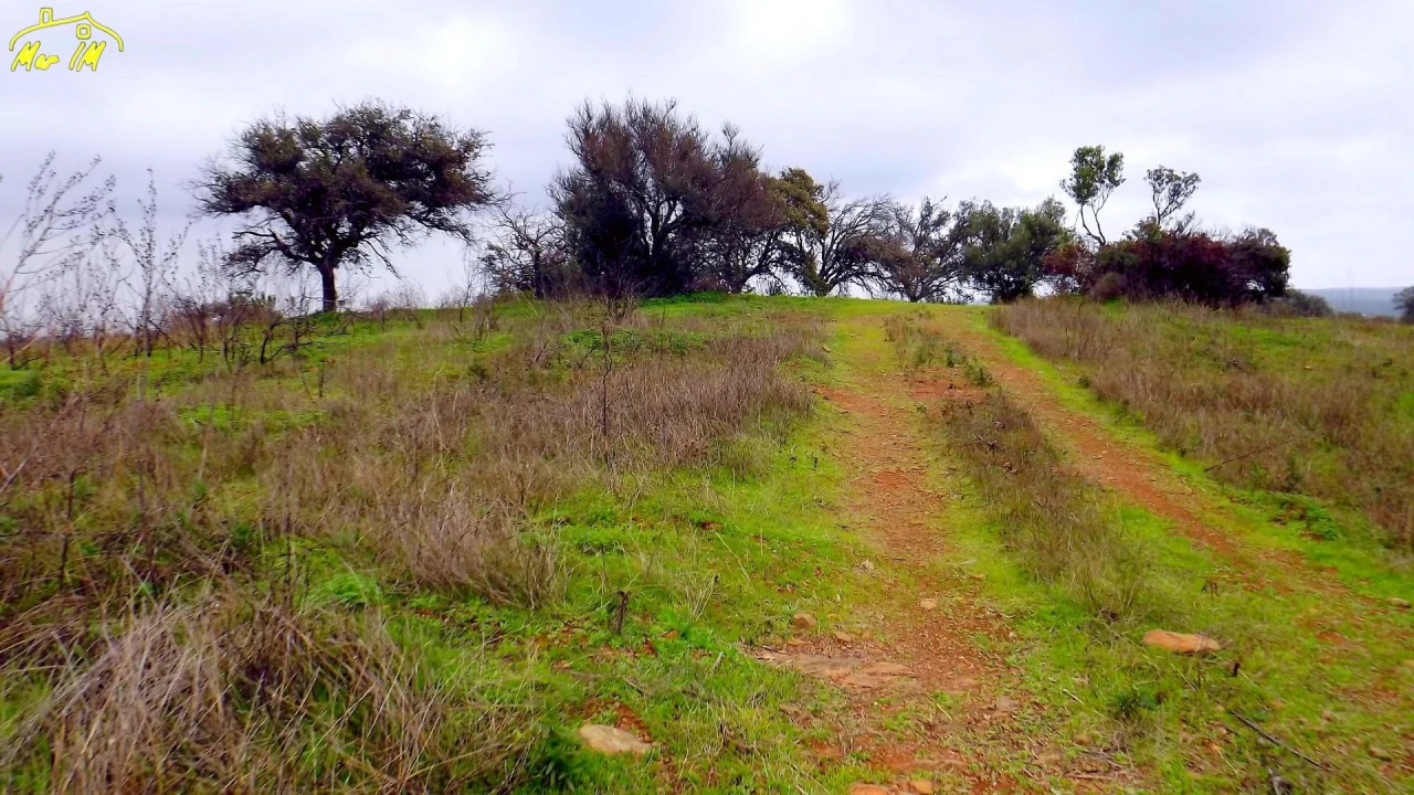 Terreno Agricola ou Rústico para Venda em Azinhal Foto 27