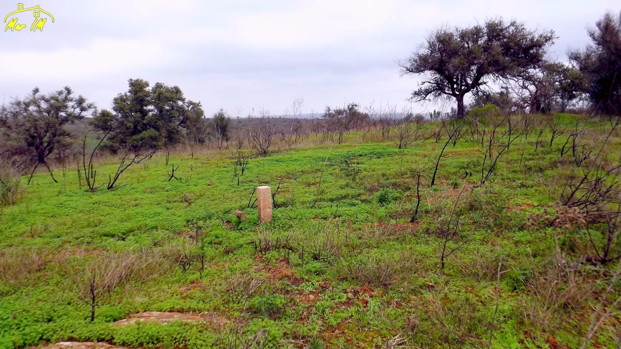Terreno Agricola ou Rústico para Venda em Azinhal Foto 28