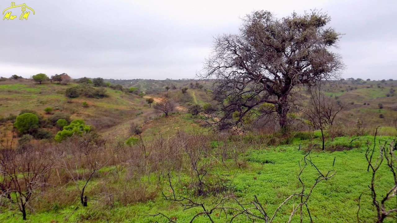 Terreno Agricola ou Rústico para Venda em Azinhal Foto 30