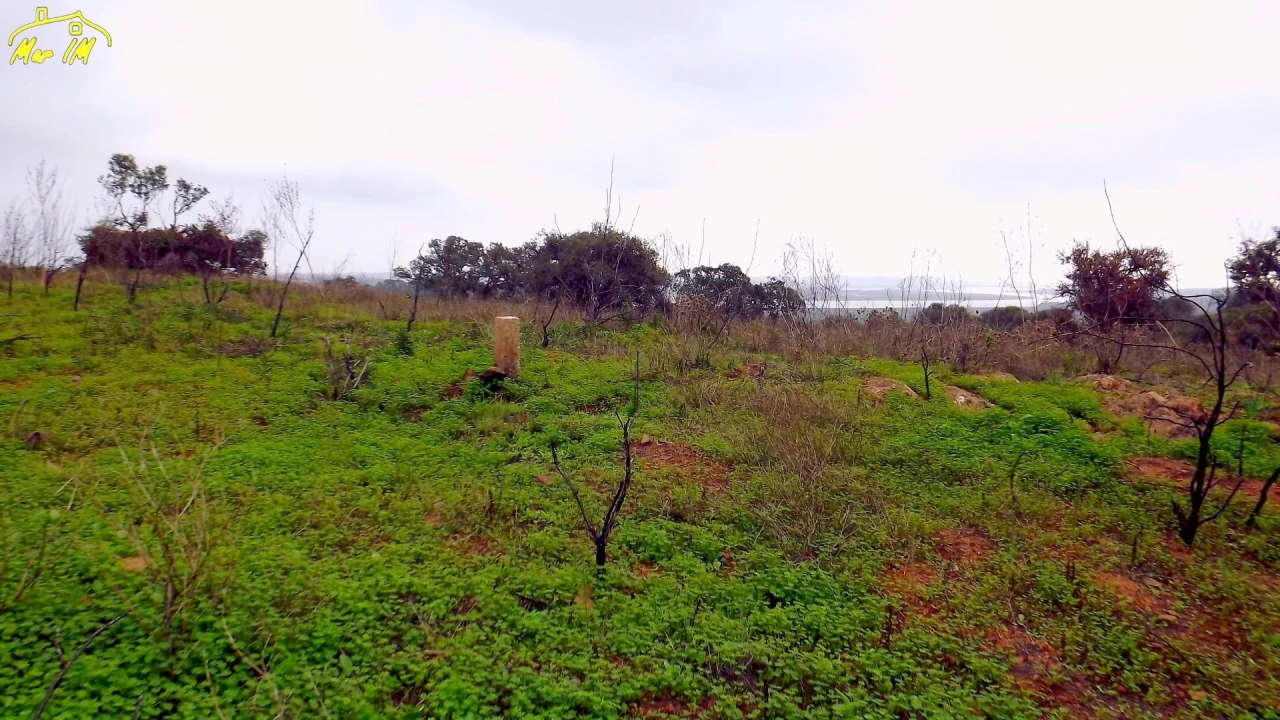Terreno Agricola ou Rústico para Venda em Azinhal Foto 31
