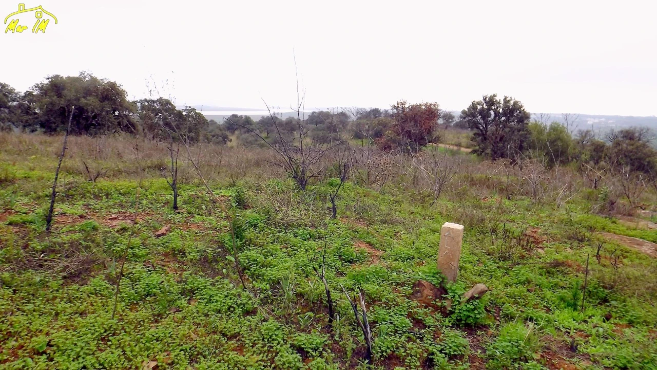 Terreno Agricola ou Rústico para Venda em Azinhal Foto 32