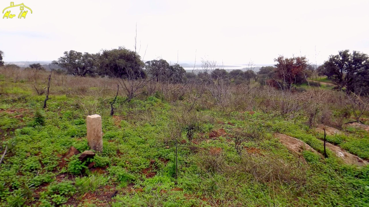 Terreno Agricola ou Rústico para Venda em Azinhal Foto 33