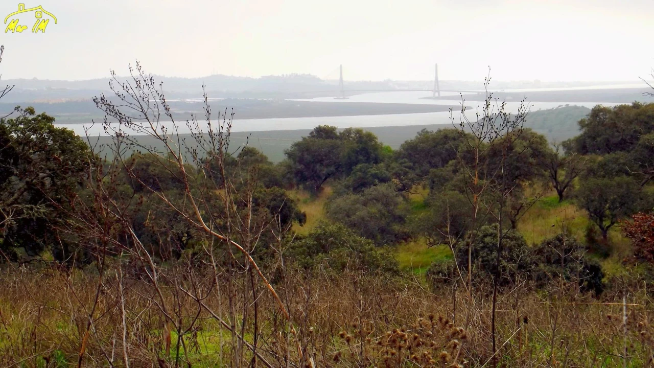 Terreno Agricola ou Rústico para Venda em Azinhal Foto 34