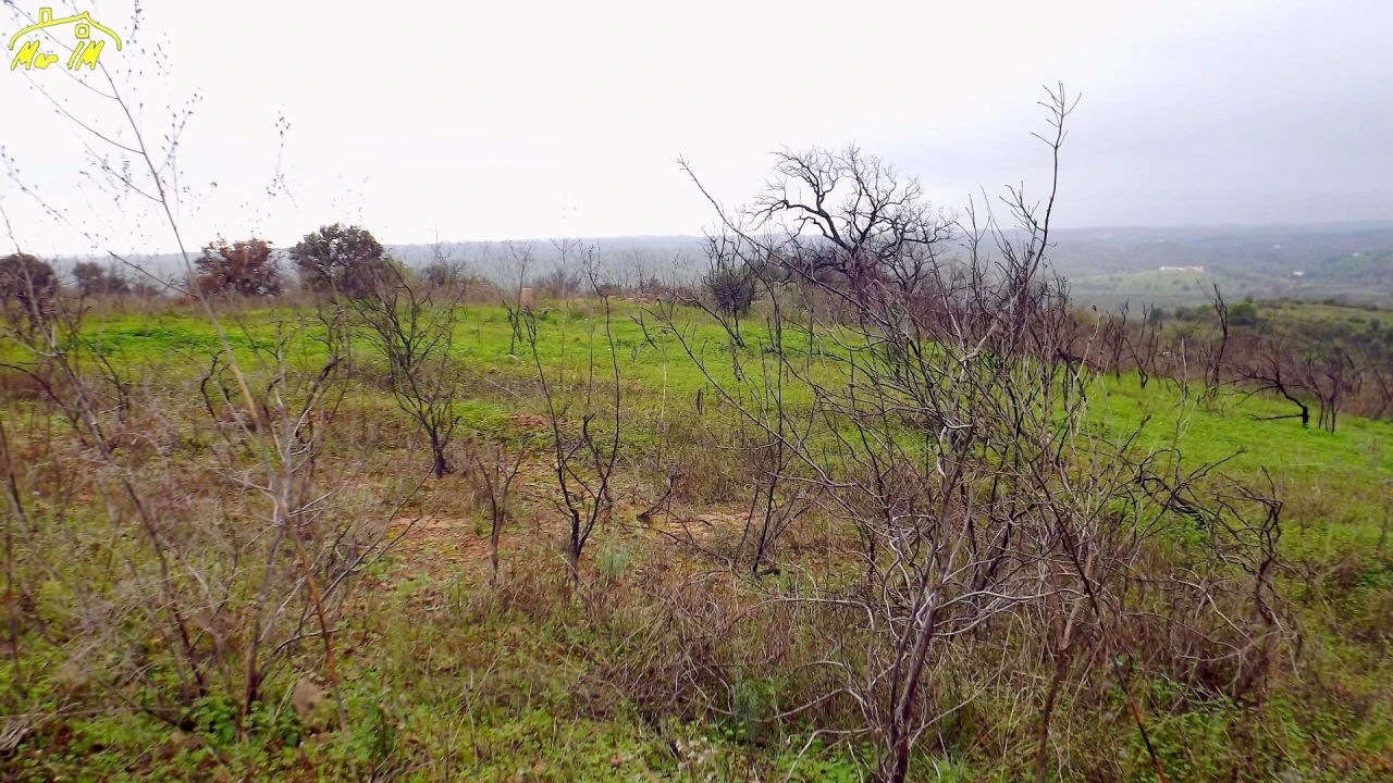 Terreno Agricola ou Rústico para Venda em Azinhal Foto 36