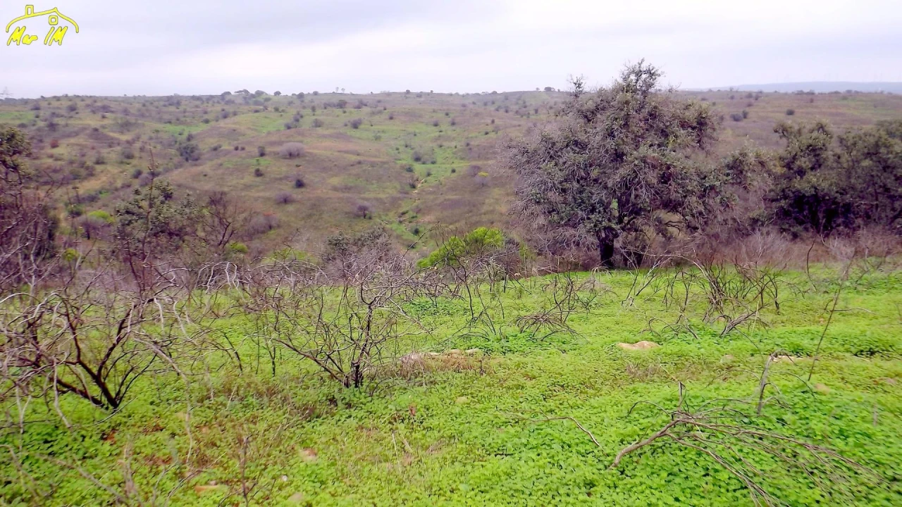 Terreno Agricola ou Rústico para Venda em Azinhal Foto 38