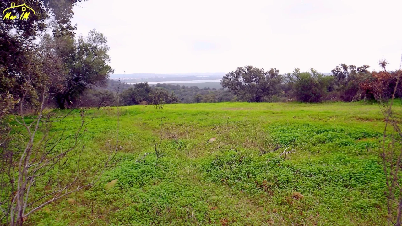 Terreno Agricola ou Rústico para Venda em Azinhal Foto 39