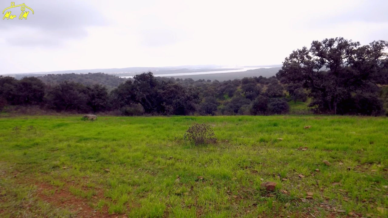 Terreno Agricola ou Rústico para Venda em Azinhal Foto 4