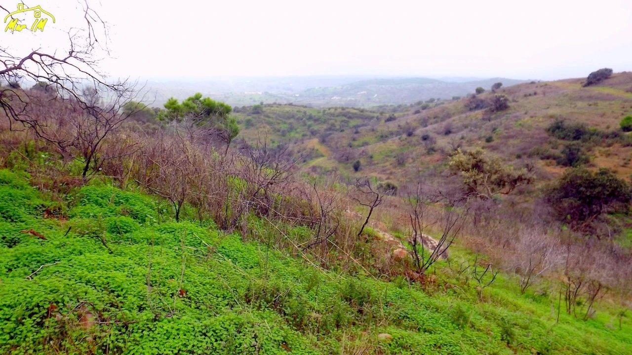 Terreno Agricola ou Rústico para Venda em Azinhal Foto 49