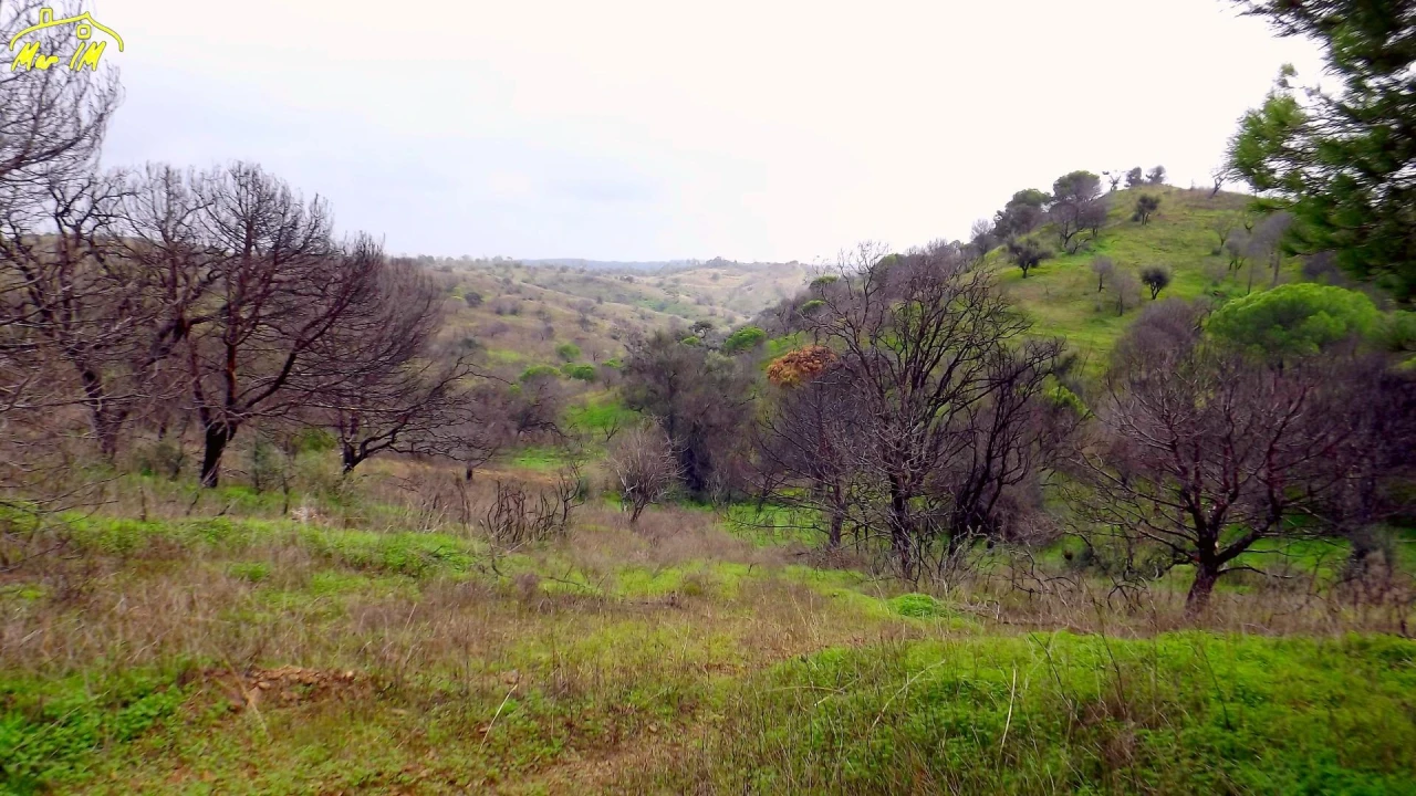 Terreno Agricola ou Rústico para Venda em Azinhal Foto 5