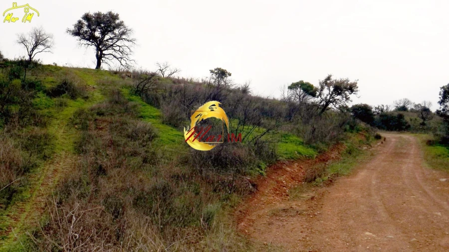 Terreno Agricola ou Rústico para Venda em Azinhal Foto 15