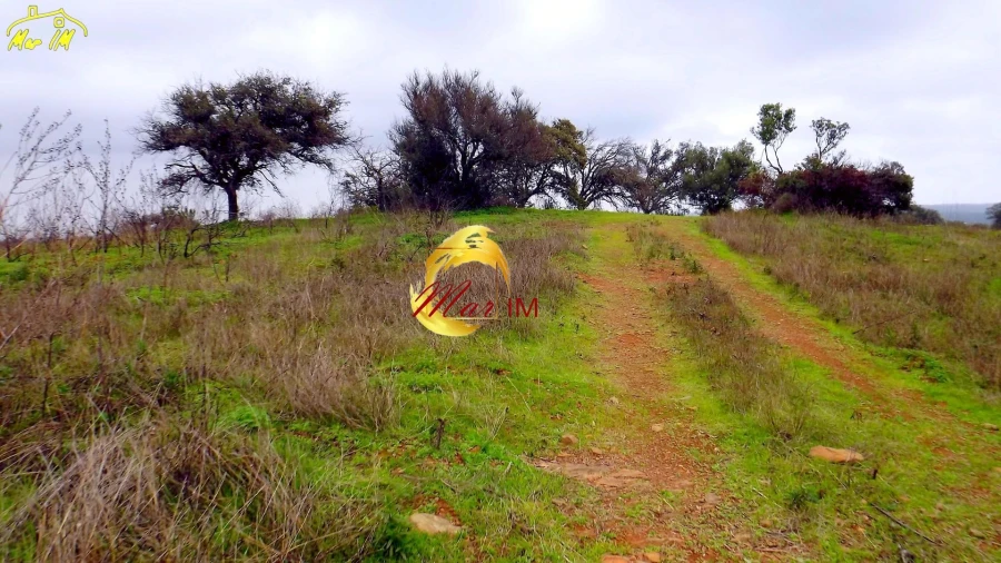 Terreno Agricola ou Rústico para Venda em Azinhal Foto 27