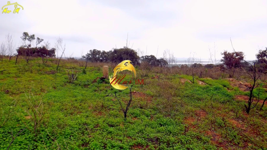 Terreno Agricola ou Rústico para Venda em Azinhal Foto 31