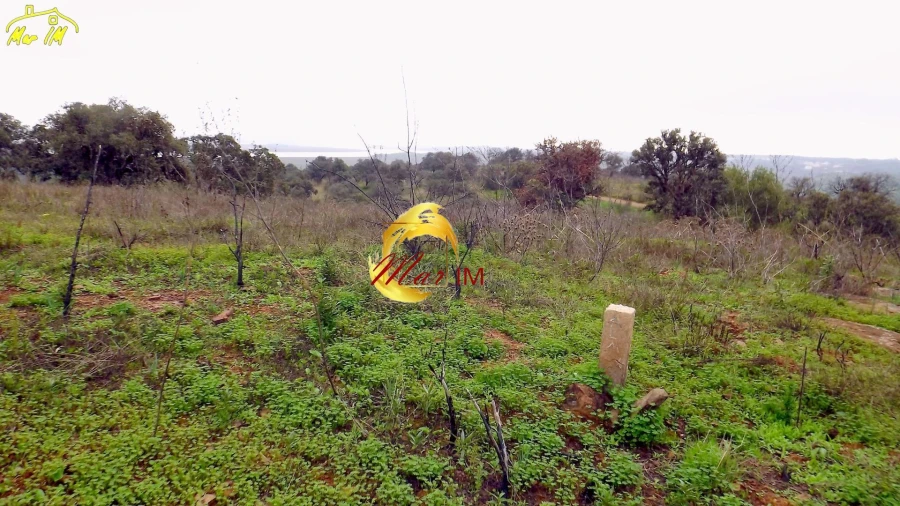 Terreno Agricola ou Rústico para Venda em Azinhal Foto 32
