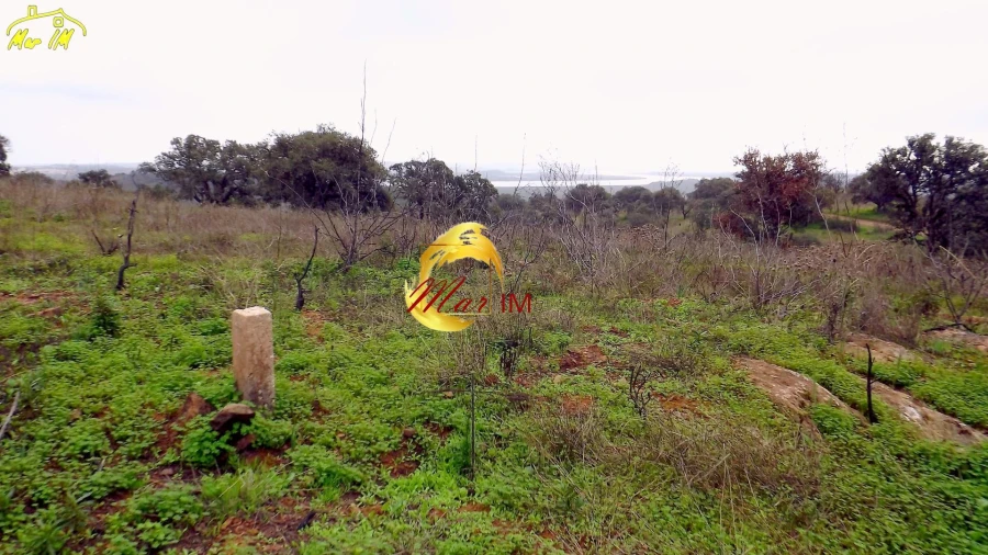 Terreno Agricola ou Rústico para Venda em Azinhal Foto 33