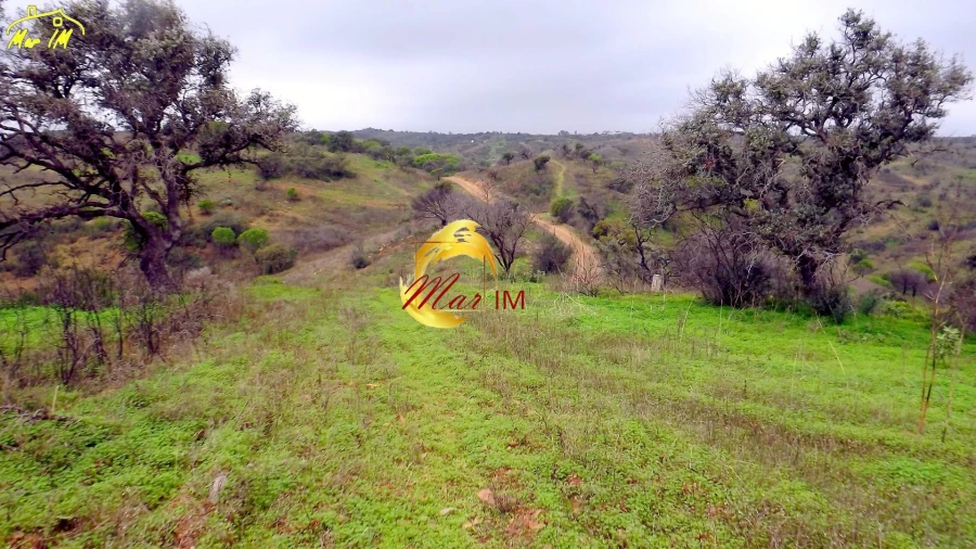 Terreno Agricola ou Rústico para Venda em Azinhal Foto 37
