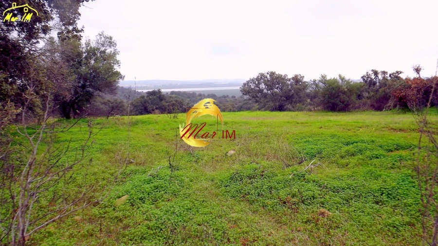 Terreno Agricola ou Rústico para Venda em Azinhal Foto 39