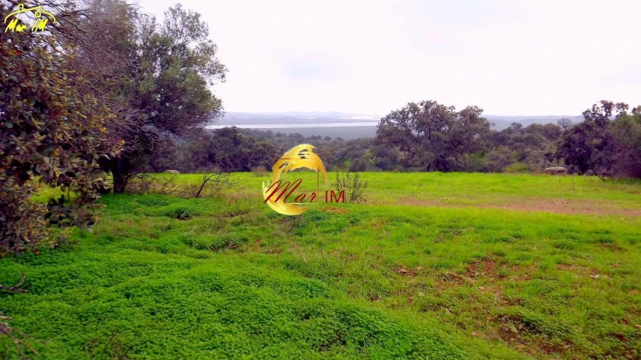 Terreno Agricola ou Rústico para Venda em Azinhal Foto 40