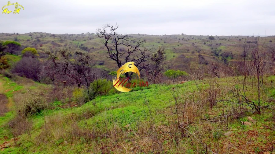 Terreno Agricola ou Rústico para Venda em Azinhal Foto 50