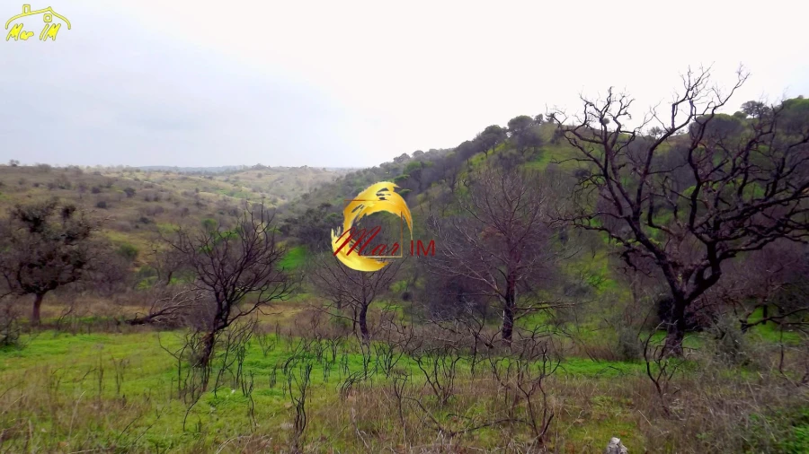 Terreno Agricola ou Rústico para Venda em Azinhal Foto 8