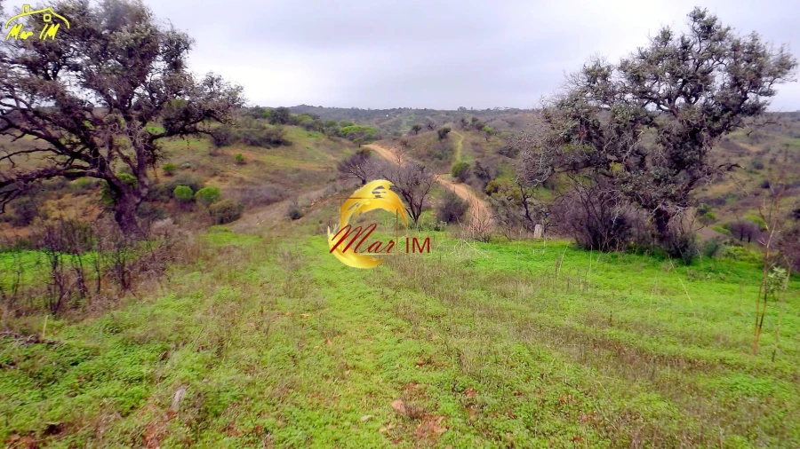 Terreno Agricola ou Rústico para Venda em Azinhal Foto 37