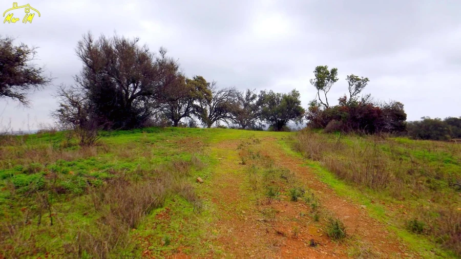 Terreno Agricola ou Rústico para Venda em Azinhal Foto 1
