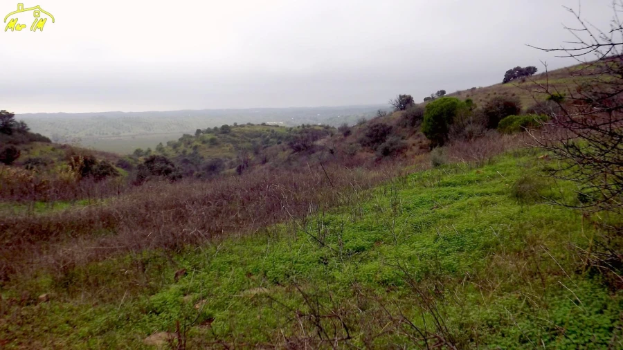 Terreno Agricola ou Rústico para Venda em Azinhal Foto 12