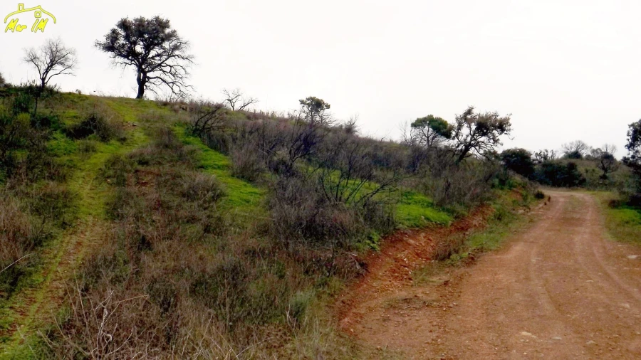 Terreno Agricola ou Rústico para Venda em Azinhal Foto 15