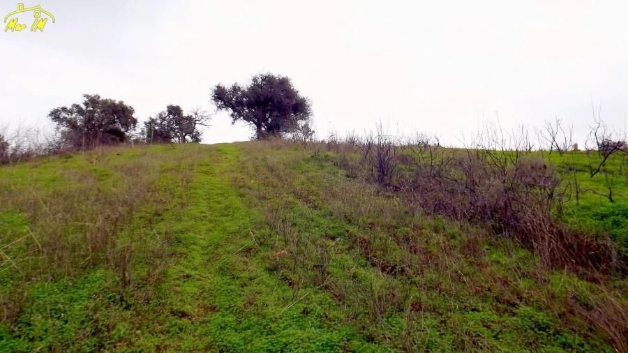 Terreno Agricola ou Rústico para Venda em Azinhal Foto 16