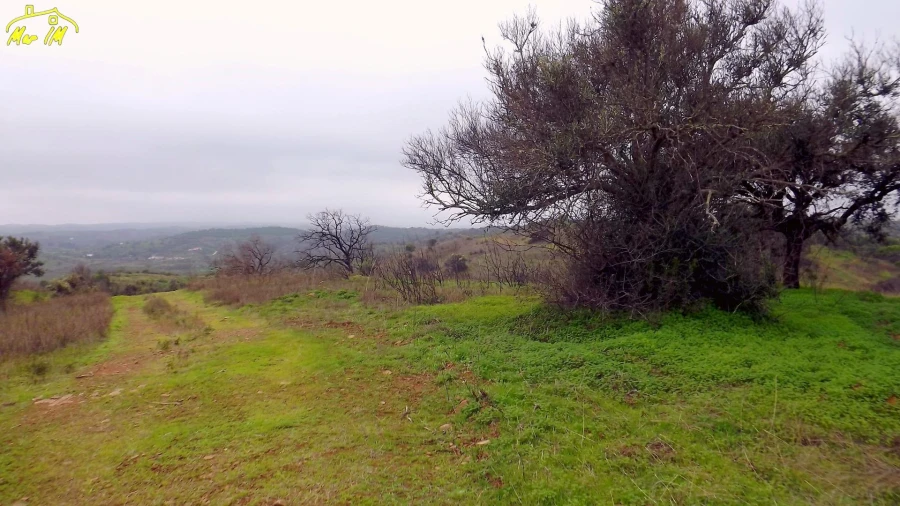Terreno Agricola ou Rústico para Venda em Azinhal Foto 19