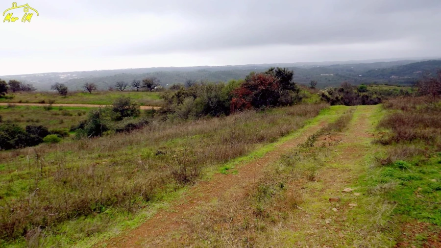 Terreno Agricola ou Rústico para Venda em Azinhal Foto 23