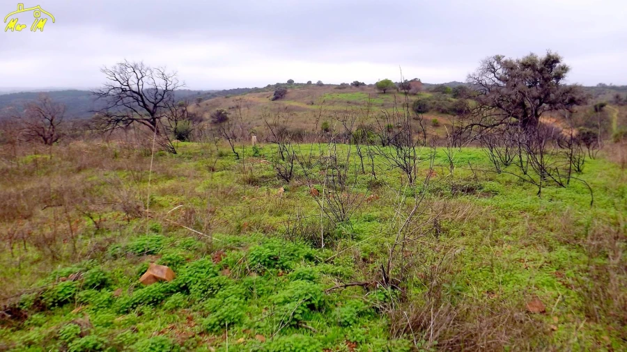 Terreno Agricola ou Rústico para Venda em Azinhal Foto 24