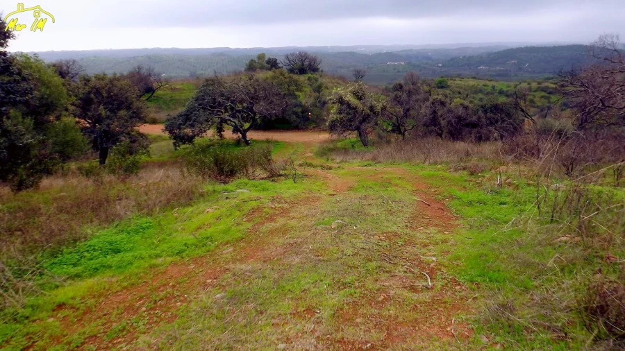 Terreno Agricola ou Rústico para Venda em Azinhal Foto 25