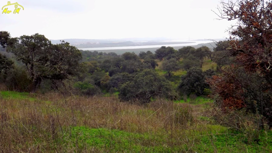 Terreno Agricola ou Rústico para Venda em Azinhal Foto 26