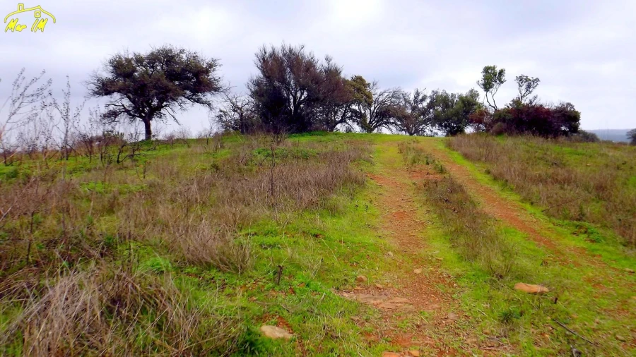 Terreno Agricola ou Rústico para Venda em Azinhal Foto 27
