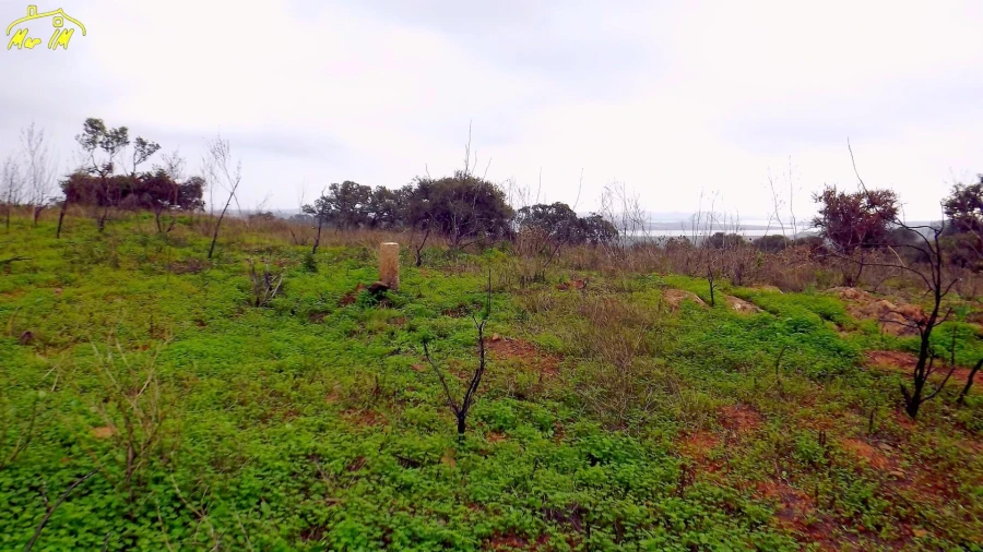 Terreno Agricola ou Rústico para Venda em Azinhal Foto 31