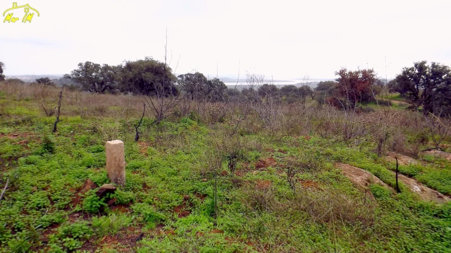 Terreno Agricola ou Rústico para Venda em Azinhal Foto 33