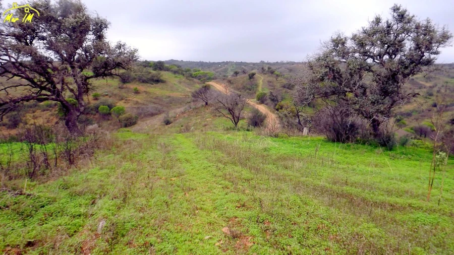 Terreno Agricola ou Rústico para Venda em Azinhal Foto 37