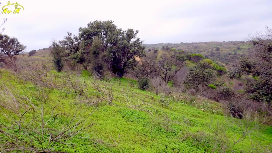 Terreno Agricola ou Rústico para Venda em Azinhal Foto 44