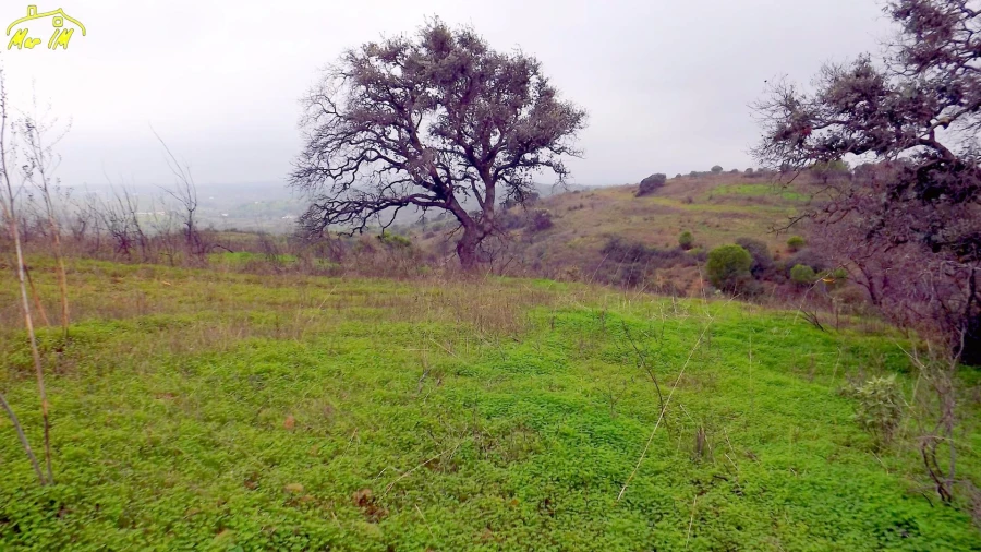 Terreno Agricola ou Rústico para Venda em Azinhal Foto 48